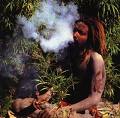 rasta 